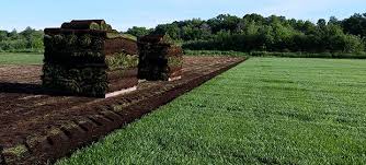 Find condos, lofts & luxury condominiums for sale in minneapolis, mn. Sod And Turf Supplier In Minnesota