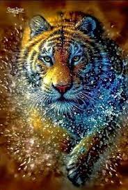 google majestic animals animals beautiful tiger photography