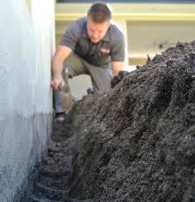 Pest ex is a leading pest control & termite treatment services company. Stop Tolerating Those Little Pesky Animals That Invades Your Home And Makes It Literarily Unlivabl Pest Control Mice Termite Pest Control Pest Control Supplies