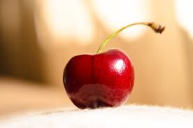 We did not find results for: 5 Ways To Protect Cherries From Birds Bird Control Tips