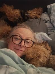 Boston terrier sleepy star and skye