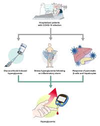 Endocrinology and Metabolism