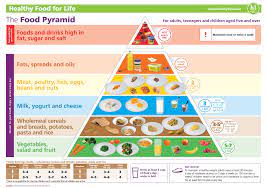 The same food pyramid guidelines apply to children as to adults, except that children under around eight should always be given full fat milk, although they can have lower fat cheeses and yoghurts if they are concerned about their weight or wish to eat the same food as the rest of the family. Healthy Eating For Families Hse Ie