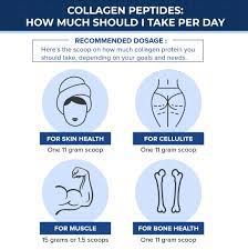 Collagen is the building block of our body, which is why you will find most people taking collagen supplements as a part of their diet plan. How Long Does It Take For Collagen To Start Working