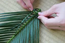 庭のソテツの葉で 沖縄で教わったソテツの虫かごを作る 田中安良里