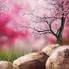Wallpapers in ultra hd 4k 3840x2160, 1920x1080 high definition resolutions. Https Encrypted Tbn0 Gstatic Com Images Q Tbn And9gcsebote Lxsqrrku2ecbkz5vf1y5rdcv2uzoe2rvxa5s Ibpicr Usqp Cau