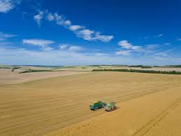 Weather extremes across US and Europe putting pressure on grain prices