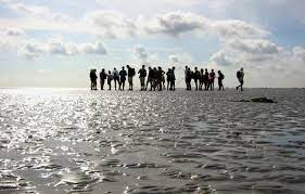 The part of the north sea between the dutch mainland and the west frisian islands collins discovery encyclopedia, 1st edition © harpercollins publishers 2005 explanation of waddenzee. Wadden Sea Inlet Netherlands Britannica