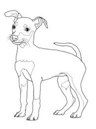 Miniature Pinscher Puppy Coloring Page Super Coloring Dog Coloring Page Dog Tattoos Puppy Coloring Pages