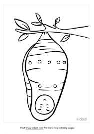 Top 10 < back to monarch facts. Chrysalis Coloring Pages Free Nature Coloring Pages Kidadl