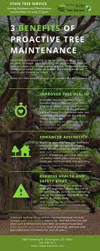 Stein Highlights 3 Benefits Of Proactive Tree Maintenance