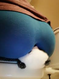 Plushie Fetish: Gas Supply to a Teddy Bear - ThisVid