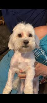 Jimmy Forgiving Spinner for Paralysis in Degrassi