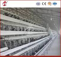 Mejores jaulas para pollos de plástico de China a la venta, fábrica de  casas para gallinas ponedoras, jaula para gallinas ponedoras, configuración  de jaulas para gallinas, casas para gallinas, de ...