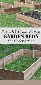 Cedar Raised Vegetable Garden Beds Vegetable Garden Raised Beds Building A Raised Garden Cedar Raised Garden Beds