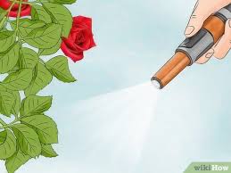 A good fertilizer provides food and nutrients for your yard and garden. 3 Ways To Fertilize Flowers Wikihow