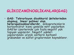 Hastalıklar ilerleyicidir ve zamanla çoklu sistem semptomlarına yol açan anormal glikozaminoglikan birikimlerine izin verir. Glikoprotein Ve Gag Uzm Dr Okhan Akin Ppt Video Online Indir