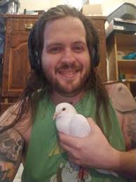 Boulder, Colorado bird trapping experience needed