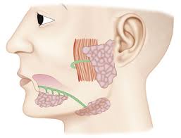 Image result for Sialoadenitis