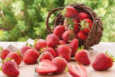 Strawberry Festival at Tuttle Orchards