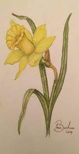 59 Super Ideas Flowers Tattoo Watercolor Pastel Pencil Drawings Of Flowers Color Pencil Drawing Pastel Pencils