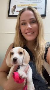 Beagle breeding and training advice needed