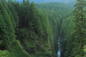 The power and majesty on show at wallace falls state park elicits feelings of wonder and awe for anyone lucky enough to visit. Wallace Falls Railway Trail Washington Trails Traillink