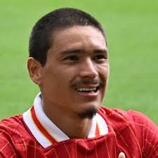 Berita Terbaru Darwin Gabriel Nunez Ribeiro