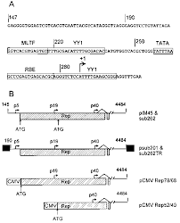 Image result for White 1999 AAV