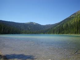 • visit the nature store for state park Flathead National Forest Moose Lake Campground