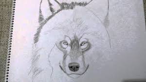 Karakalem Wolf Face By Kurtkaya Kardesler • bu videoda kurşun kalem ile kolay kurt cizimi goestermeye caliştim. karakalem wolf face by kurtkaya kardesler