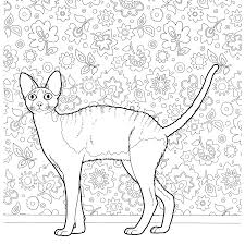 Coloring pages for kids cats coloring pages. Cat Coloring Pages For Adults Best Coloring Pages For Kids