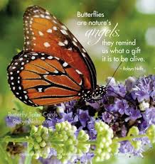 Butterfly Spirit Beautiful Butterfly Photography And Inspirational Quotes Butterfly Quotes Beautiful Butterfly Photography Beautiful Butterflies