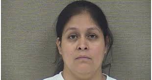 Erwin mother charged with obstructing justice