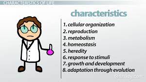 Pin By Anna Claiborne On Wisdom Biology Characteristics Of Living Things Lesson