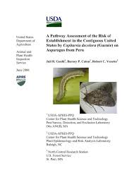 Companies such as black and decker, harbor freight tools, emerson, sunbeam, viatek, and bell and howell offer numerous ultrasonic pest repellent home improvement warehouses, garden centers and online retailers commonly sell the varying types of ultrasonic ant and pest repellent devices. Copitarsia Asparagus Peru Original