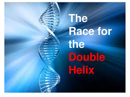 There are no featured reviews for because the movie has not released yet (). Dna The Molecule Of Life Ppt Download