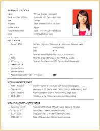 International Standard Cv Format Pdf Riwayat Hidup Desain Resume Cv Kreatif
