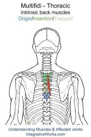 Pin On Trigger Points