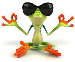 cio di cui abbiamo bisogno e una tazza di scienza un barile di prudenza e un oceano di pazienza frog cute frogs funny frogs