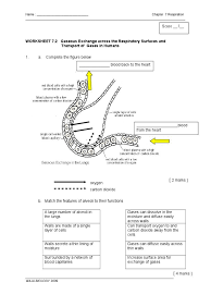 Image Result For Worksheet On Gaseous Exchange Biology Notes Biology Worksheet Worksheets