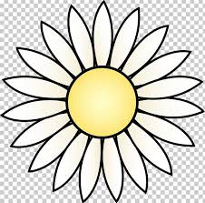 Black and white sunflower drawing. Common Sunflower Drawing White Black Png Clipart Black Black And White Circle Clip Art Common Sunflower