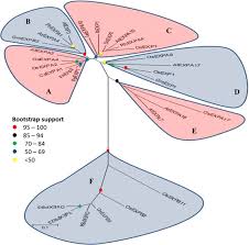 Check spelling or type a new query. Expansins Roles In Plant Growth And Potential Applications In Crop Improvement Springerlink