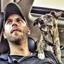 Truckee-Tahoe Dawgs for the Humane Society of Truckee-Tahoe