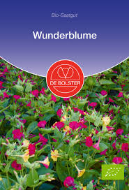 Dabei kann man die samen so wie die knolle der wunderblume einfach über. Wunderblume Bio Blumensamen Von De Bolster Samenhaus Samen Samereien
