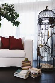 Llivingroom Decor Homedecor Bird Cage Decor Eclectic Living Room Room