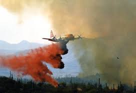 Image result for Fire Red 1995 Fleet