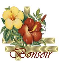 Résultat de recherche d'images pour "bonsoir"