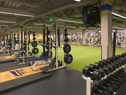 Ucla Bruins Gym Setup At Home Gym Gym Interior