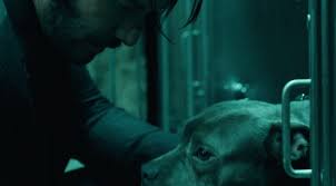 Joneseth Keanu Reeves Dog In Real Life
